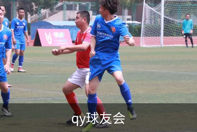 qy球友会